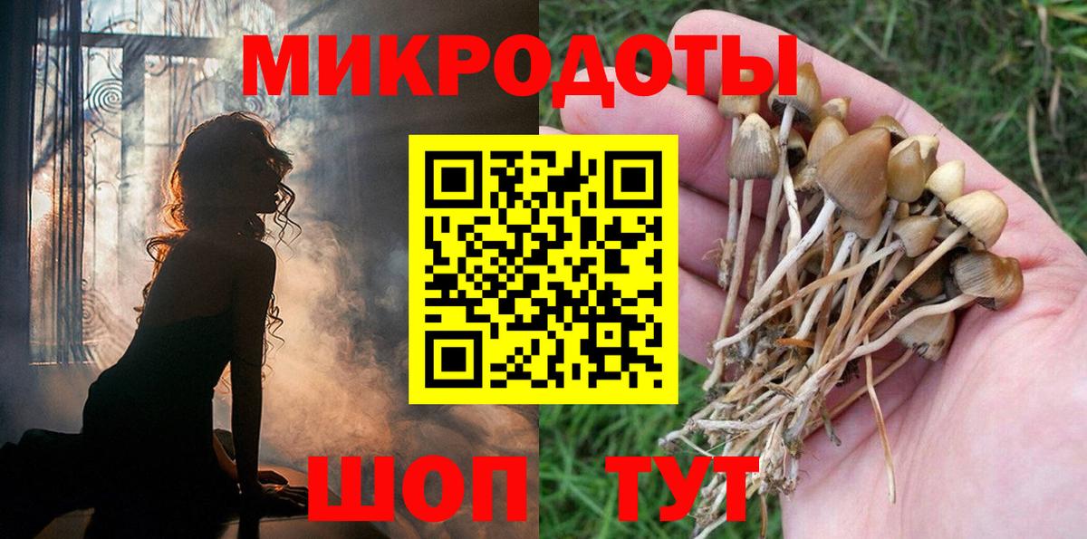 где купить наркотик  Псилоцибиновые грибы Psilocybe  Вход с VPN  Удомля 