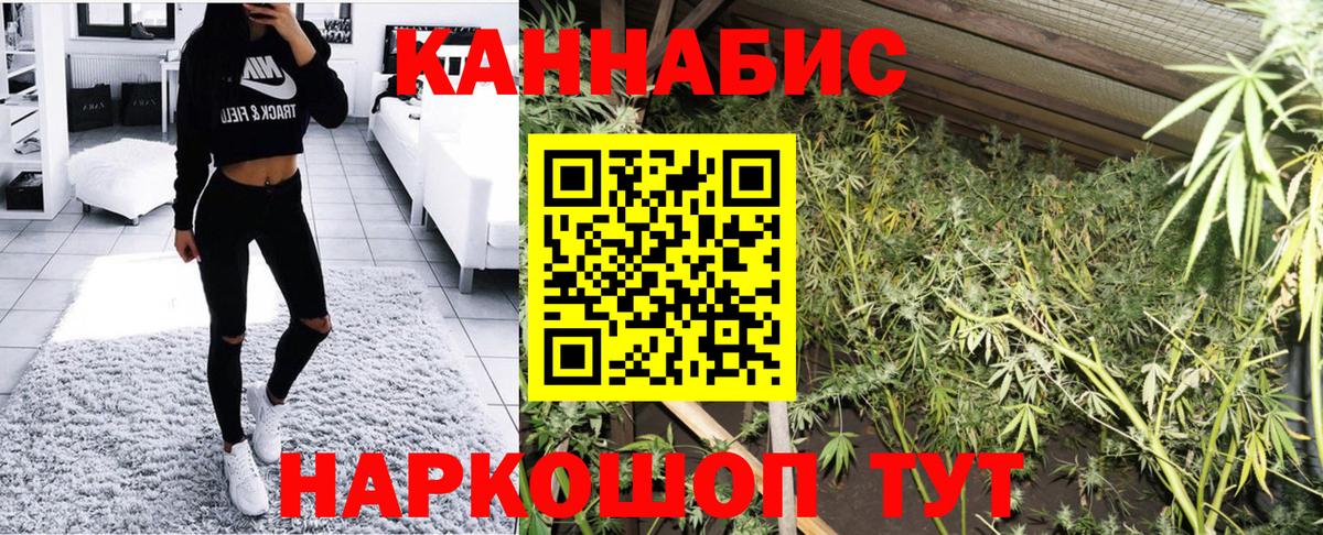 Бошки Шишки MAZAR Удомля